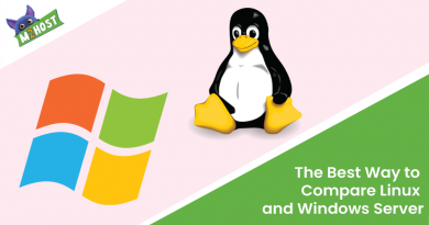 The-Best-Way-to-Compare-Linux-and-Windows-Server