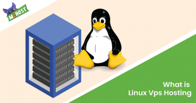 What-is-Linux-Vps-Hosting