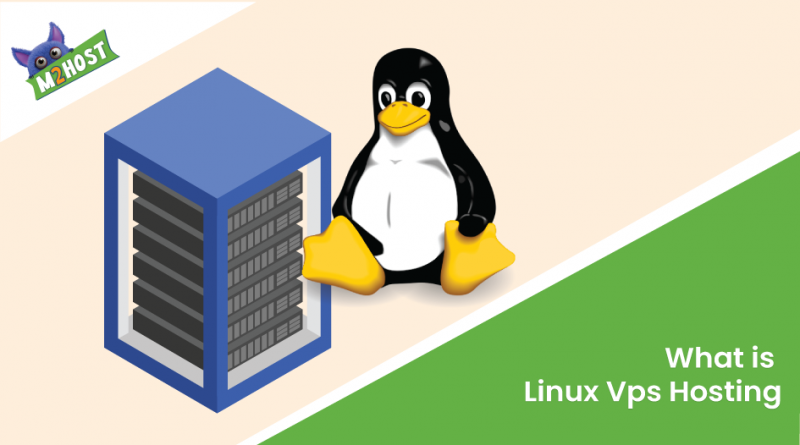 What-is-Linux-Vps-Hosting