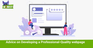 Advice-on-Developing-a-Professional-Quality-webpage