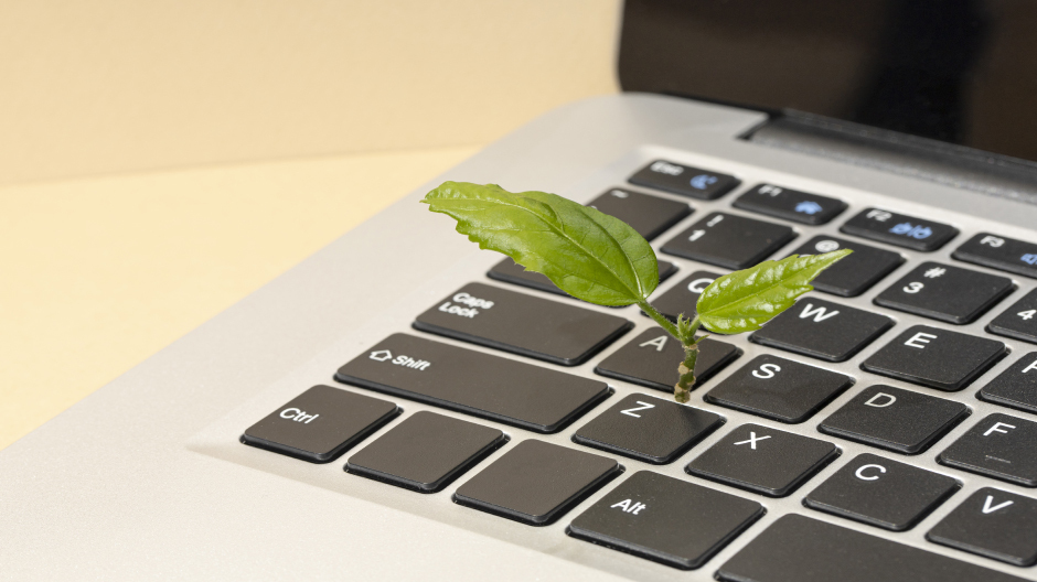 Best Low-Cost VPS Hosting Options for Startups and Growing Websites